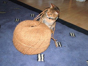 cat with big ball of string