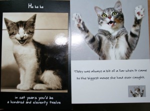 funny cat birthday cards