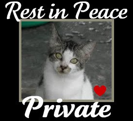 rip-private